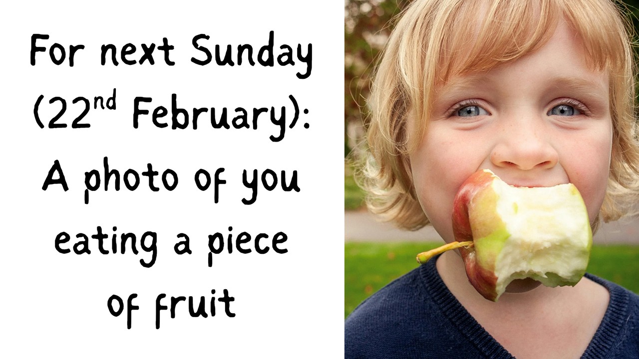 Rotator image unavailable