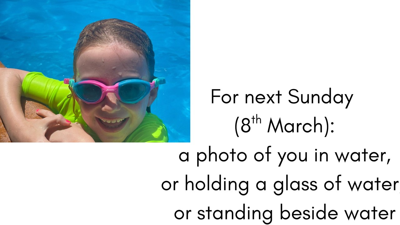 Rotator image unavailable